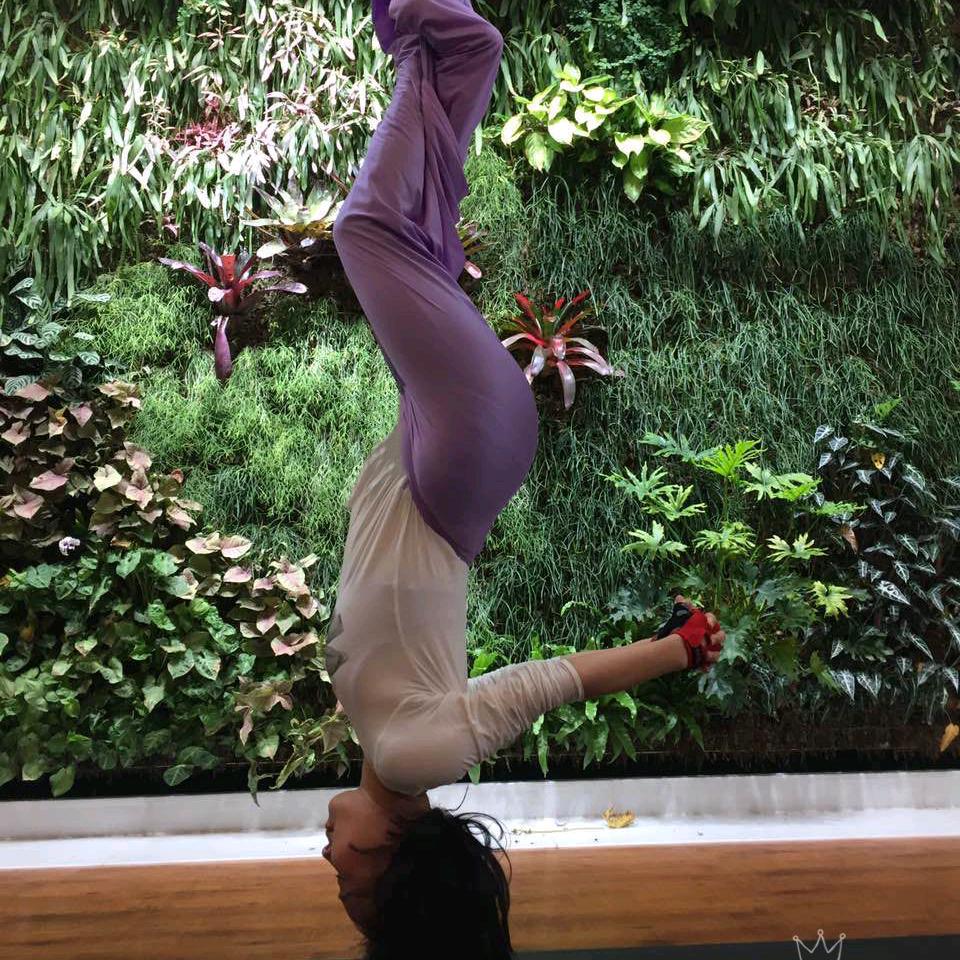 黛黛的瑜伽&普拉提