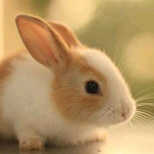 💖龙行天下💗