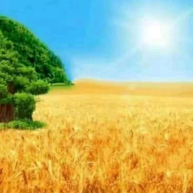 ℳঞ百年🍒好贺꧔ꦿ້໌ᮨ࿐