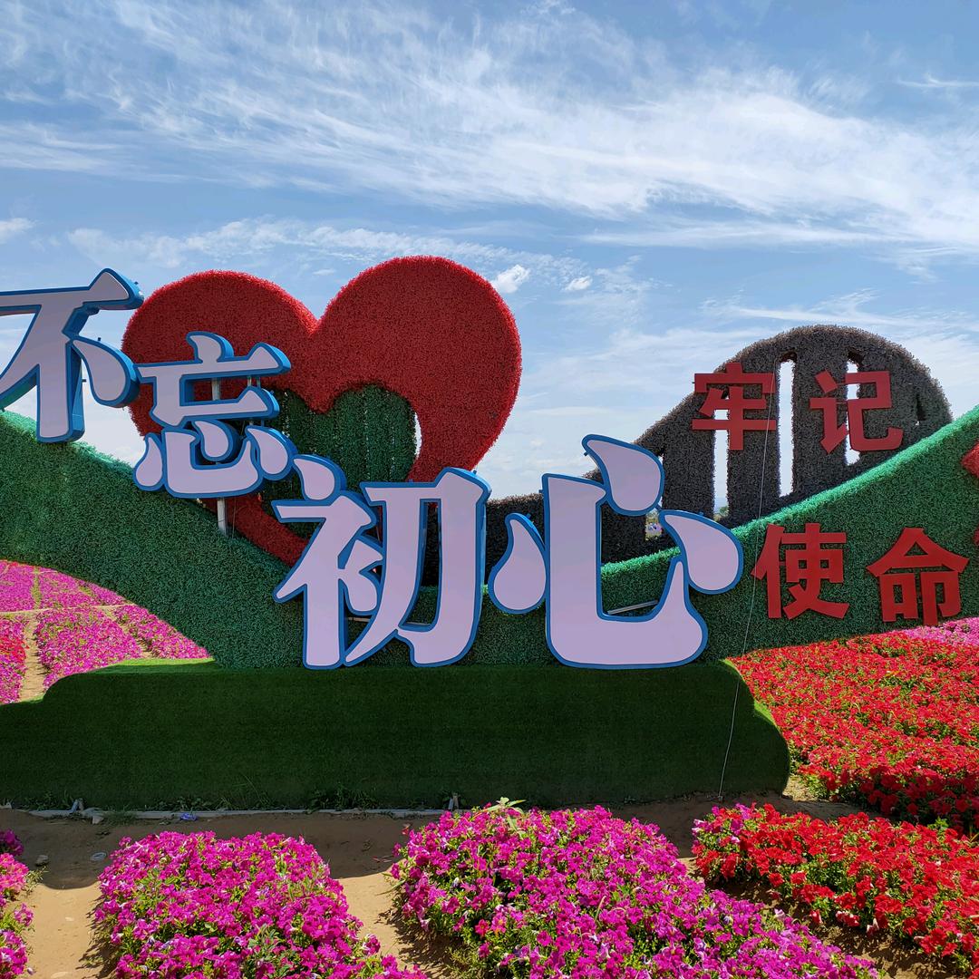 土豆的梦想