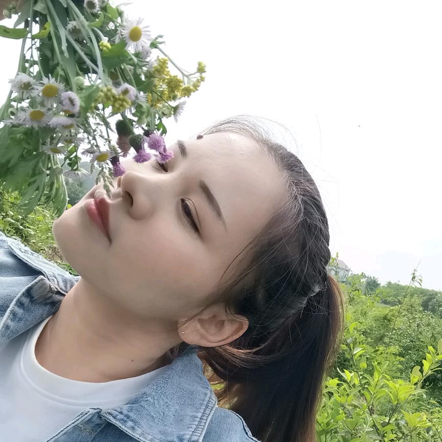 南岳衡山小辉