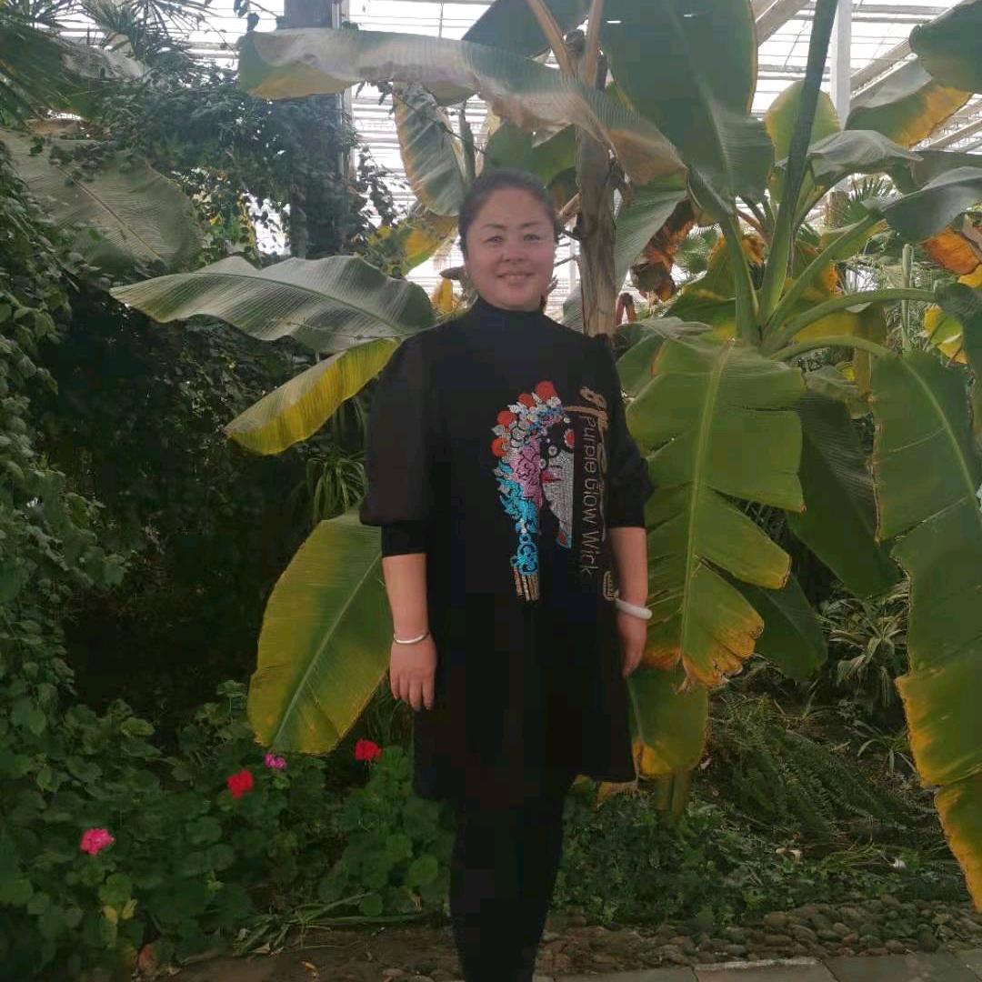 宁夏枣姐