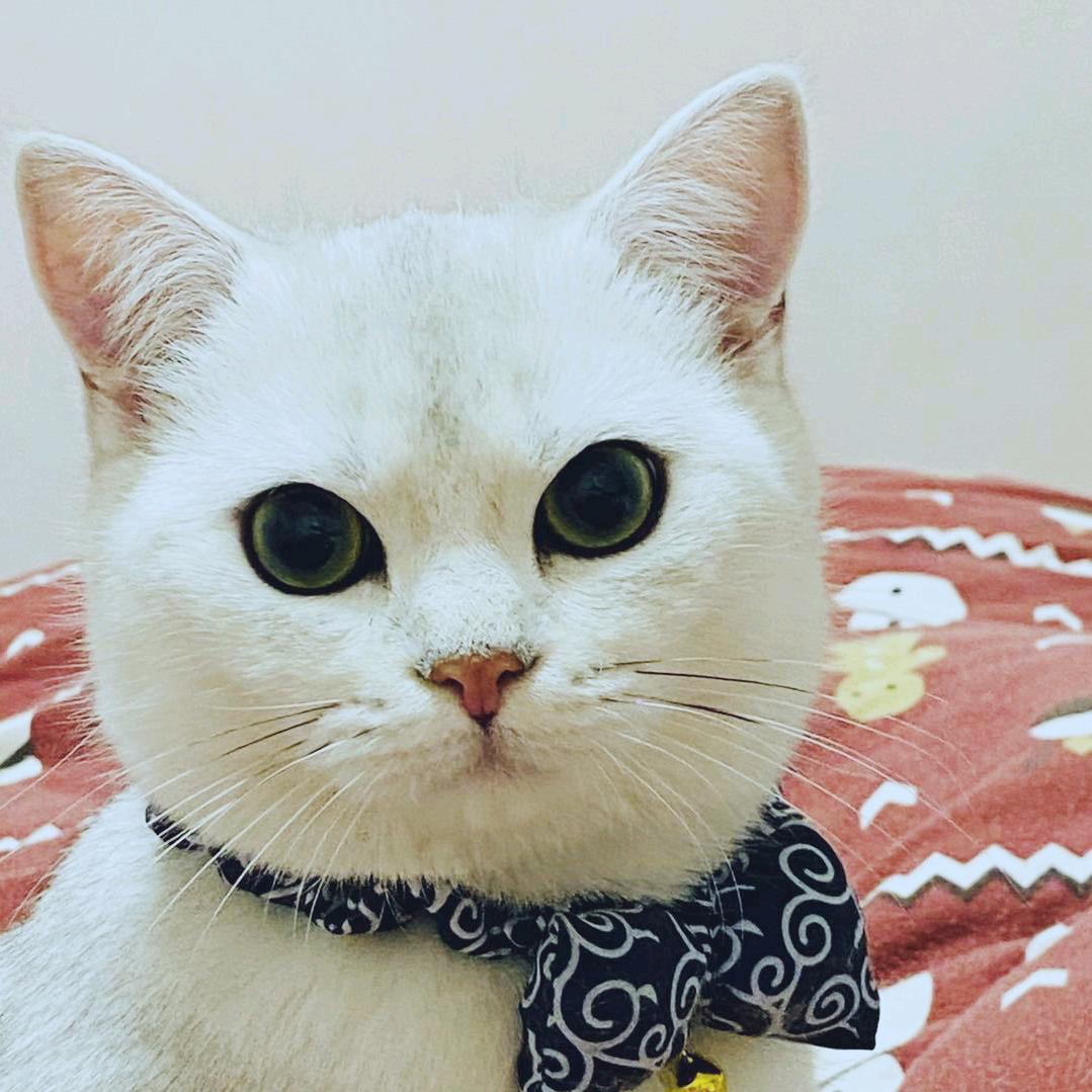 心有阳光
