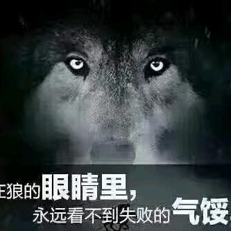 沙漠猎狼