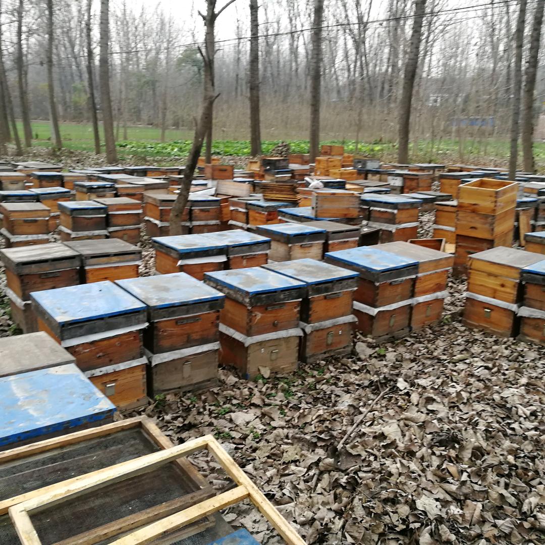 一人一车一窝蜂