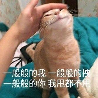 一起发呆a