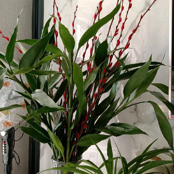 艳(专业家政保洁）