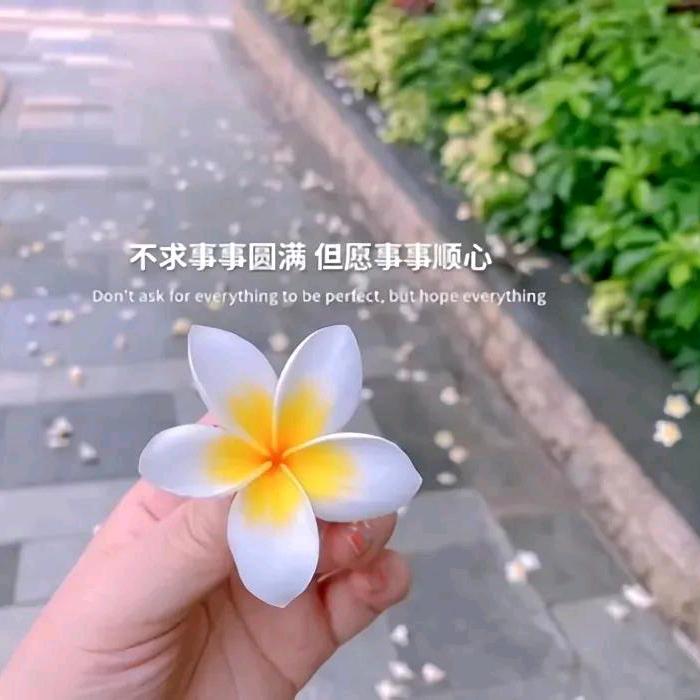 🕊芒果草莓蔚