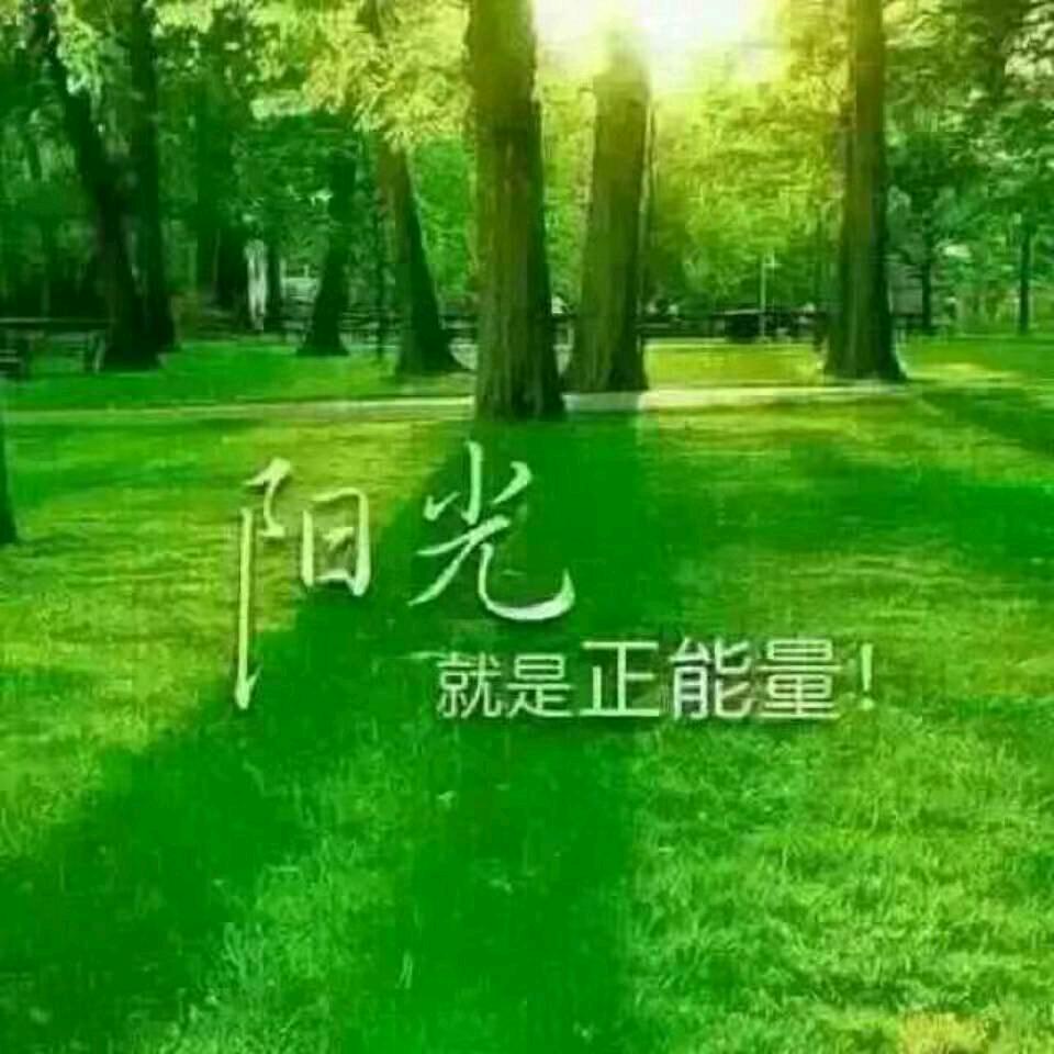 阳光明媚  热歌分享