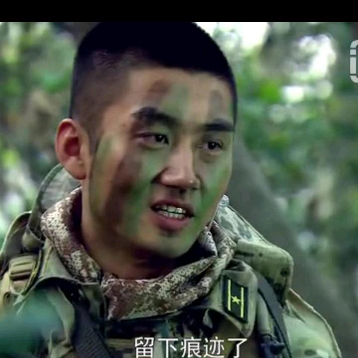 青麦科技