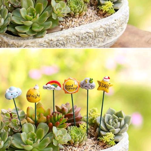 芒果公主