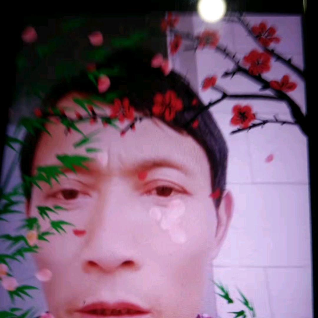 自由飞翔🌹