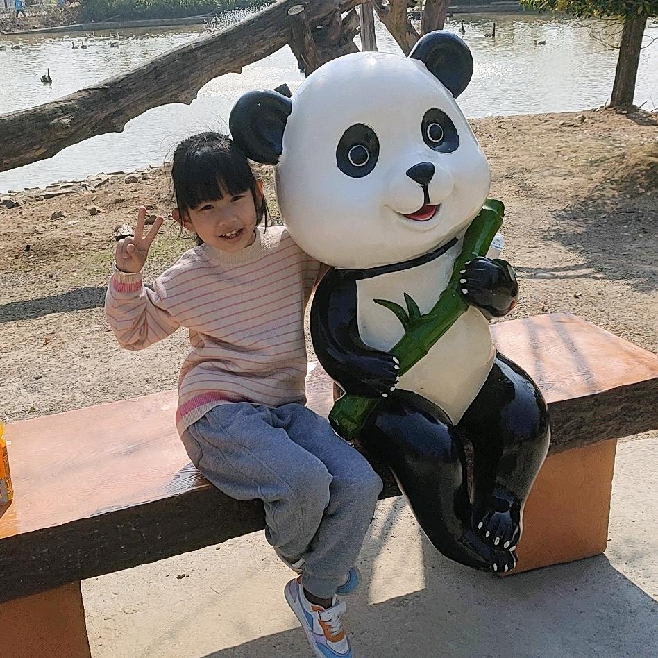 陈集淼嘉电子