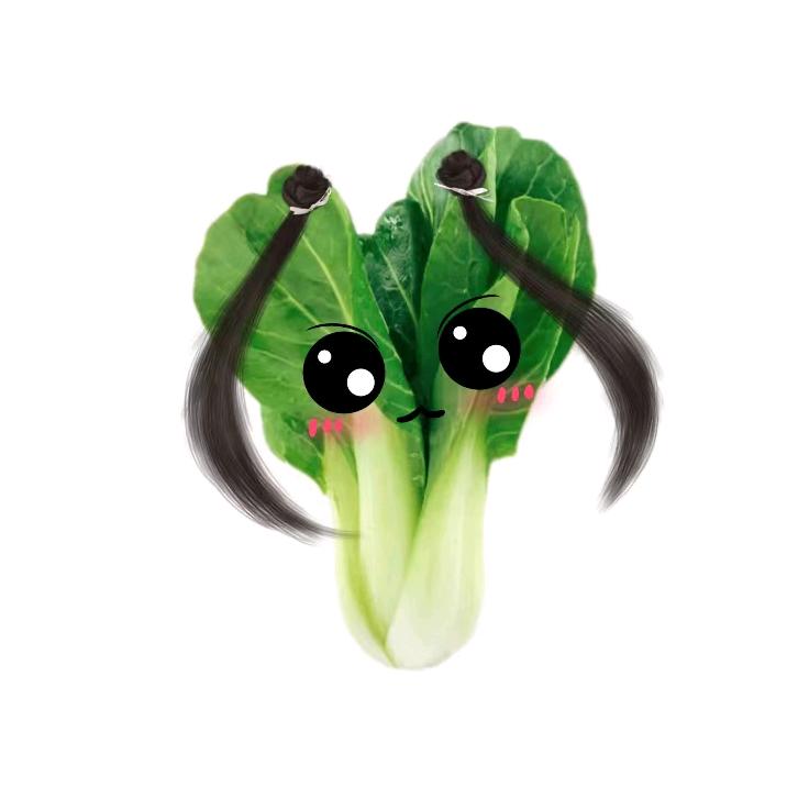油菜带你嗨