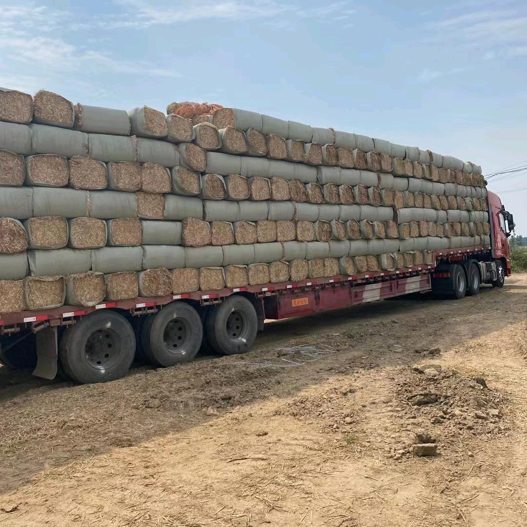 你开心！我快乐