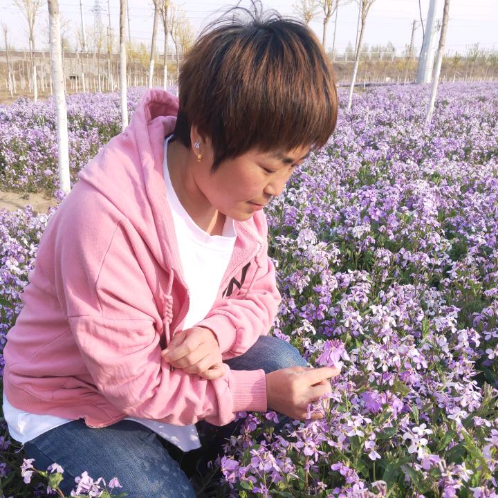 整厂收购,机床购销