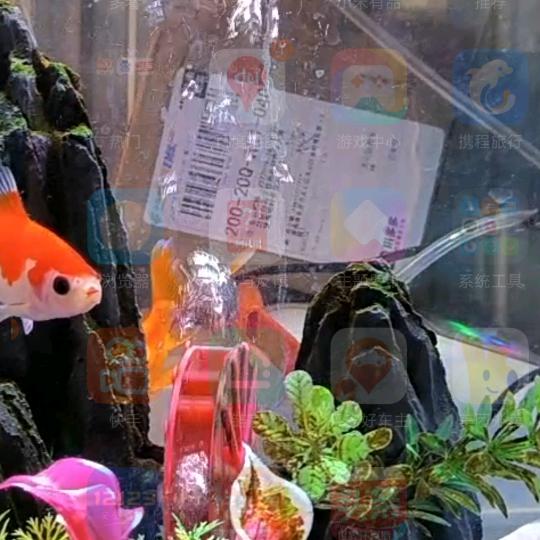 金玖照明