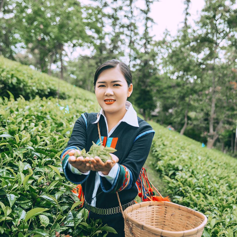 啊妮度🥰