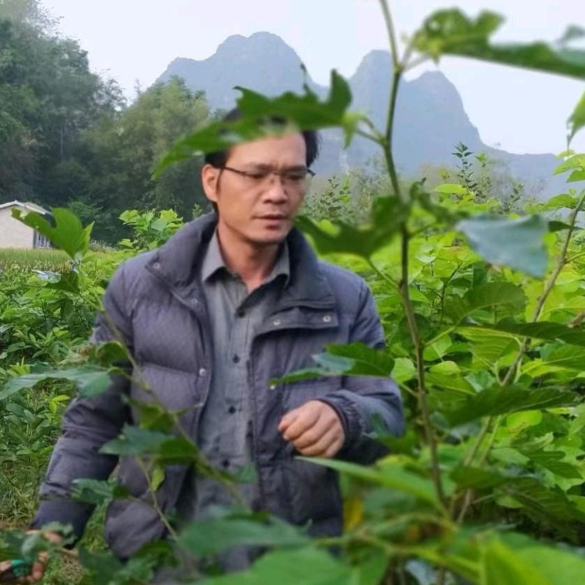 壮乡杰哥名优水果苗木种植基地
