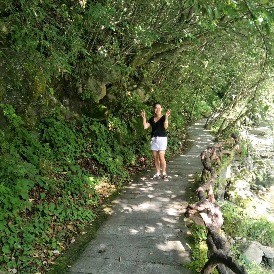 人生若能只如初见