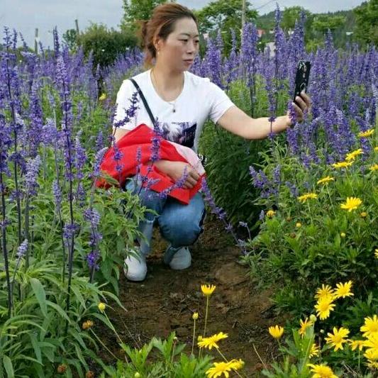 🌺燕姐