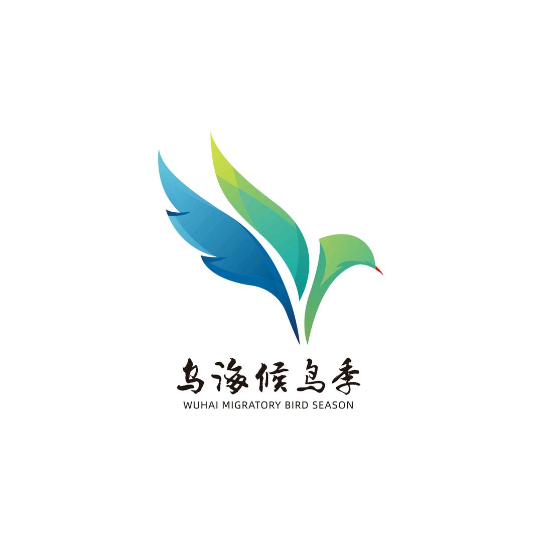 邂逅乌海候鸟季