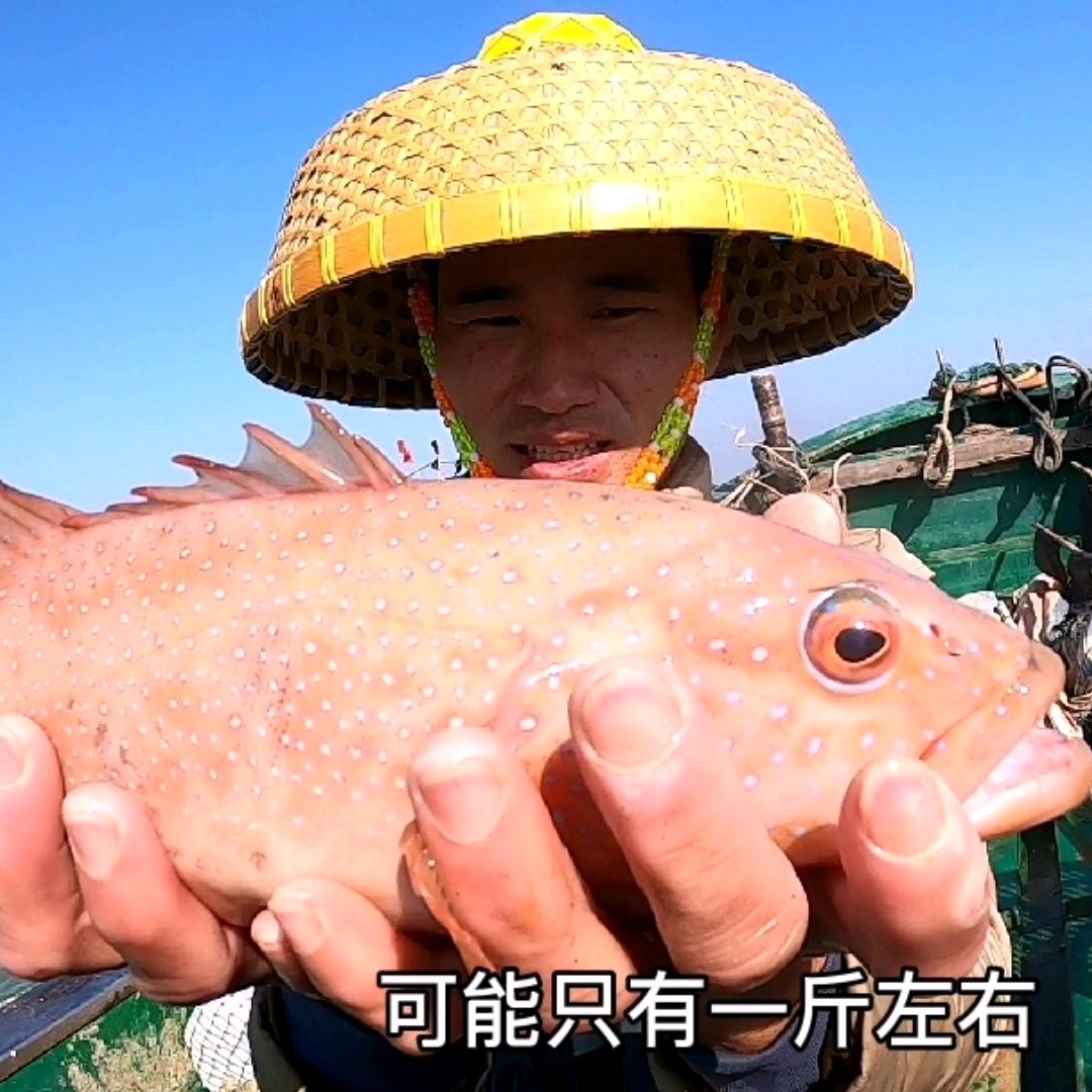 占小渔