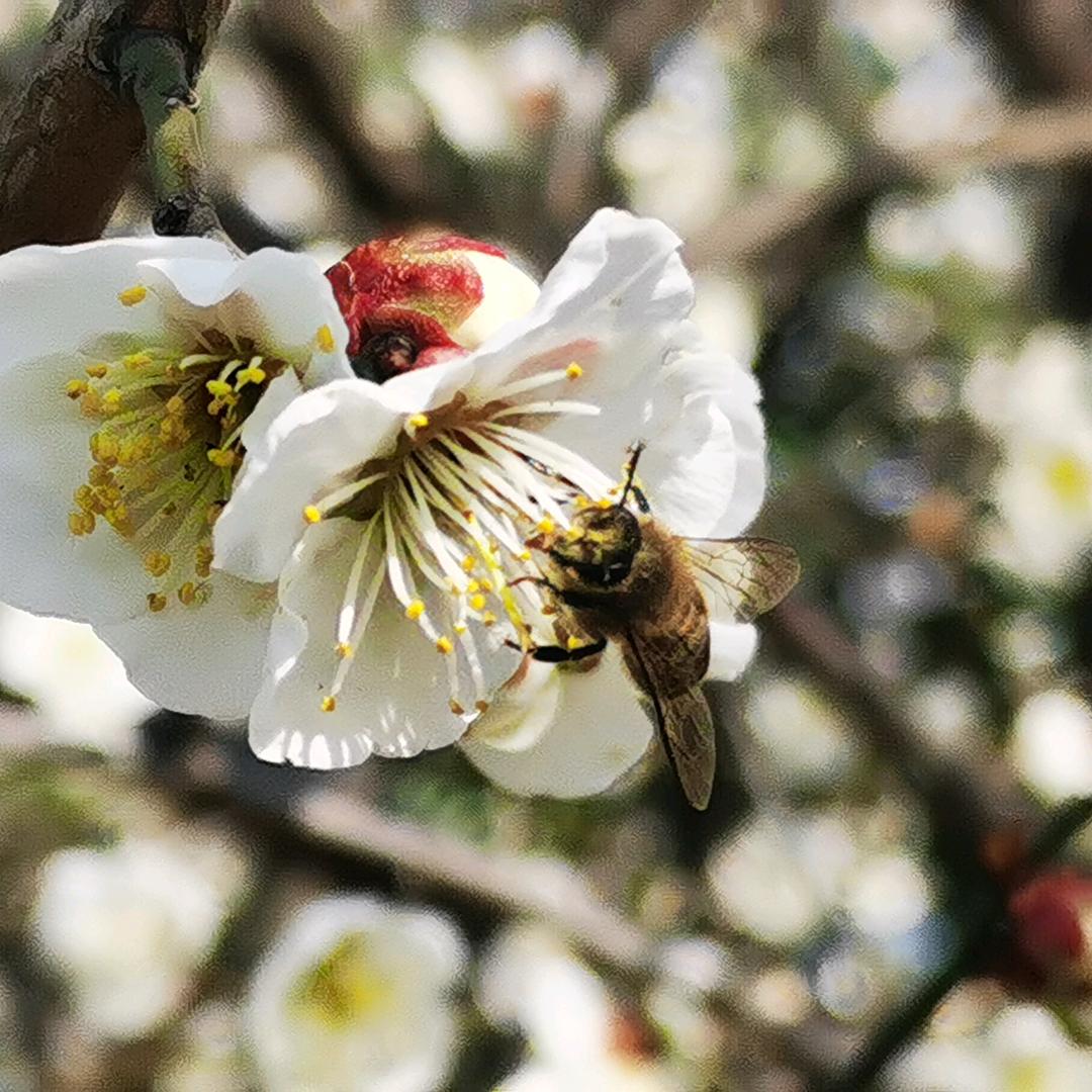 小明AA          ♡2188万