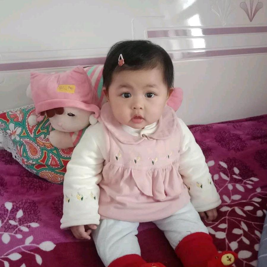 小燕子