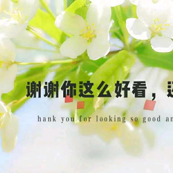 懂你