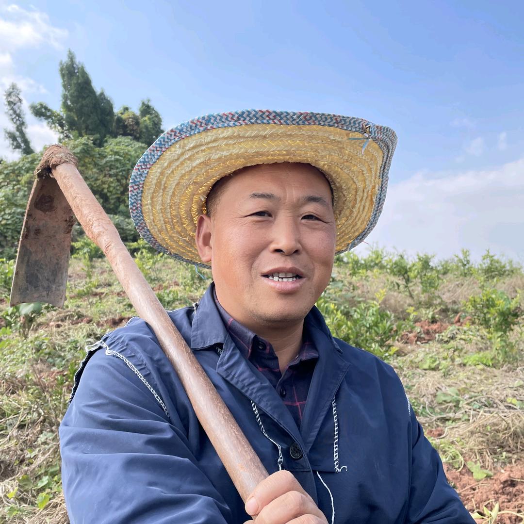 贵辉（内江农民老易）