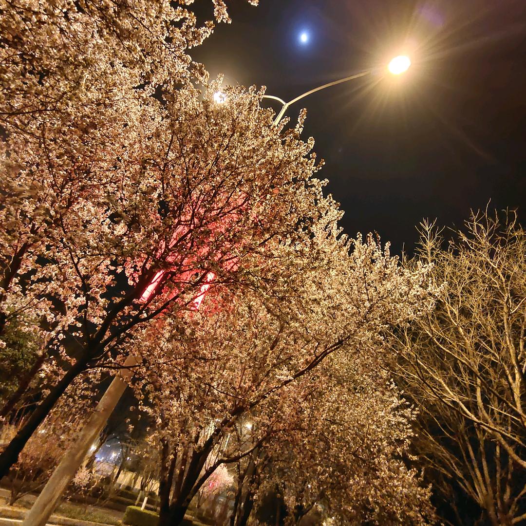 像风走了八百里