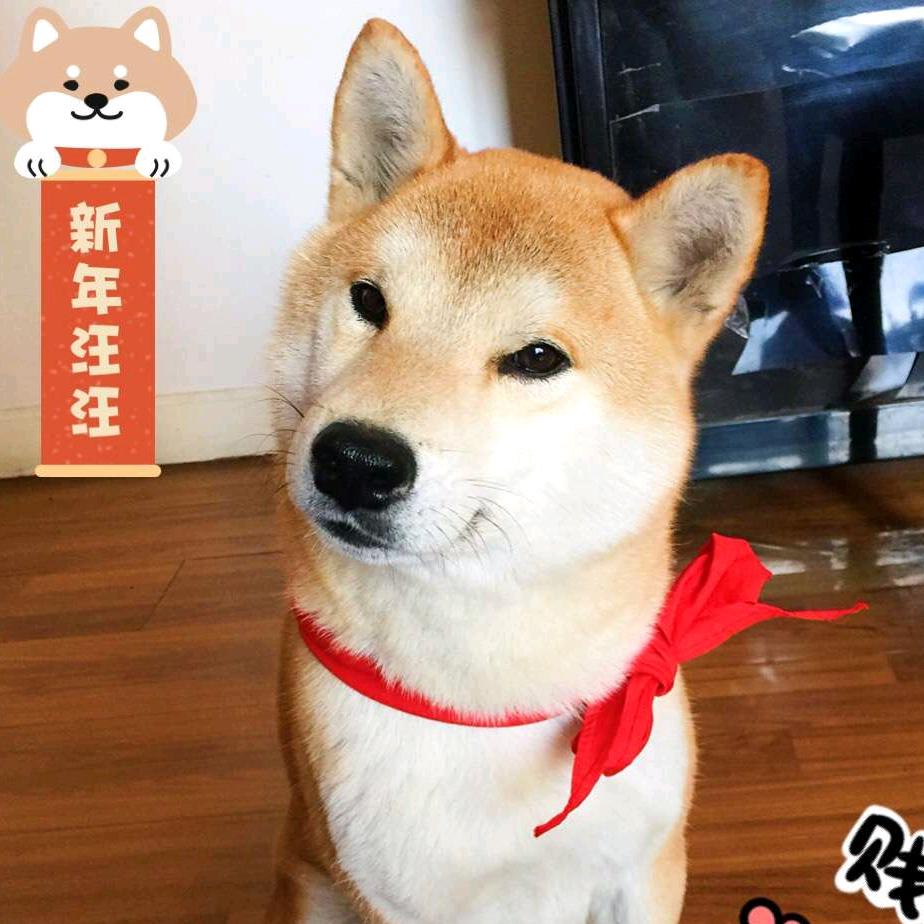 爱听歌的流星