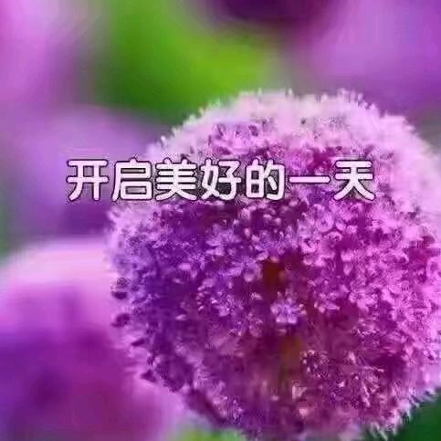 李红芹