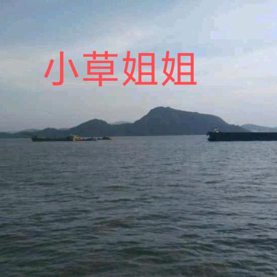 小草姐姐