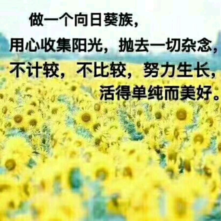 葡萄透明心