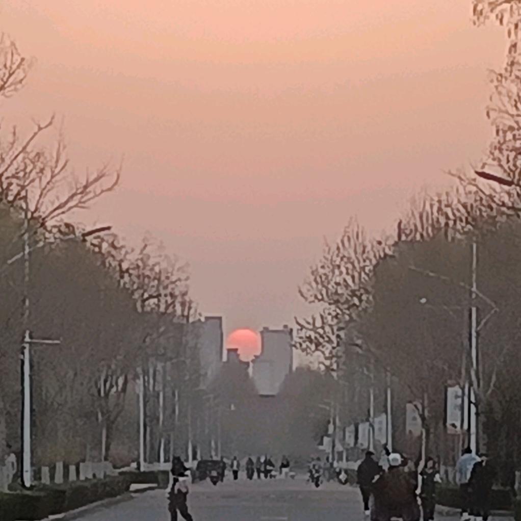 凤舞九天💃🏻