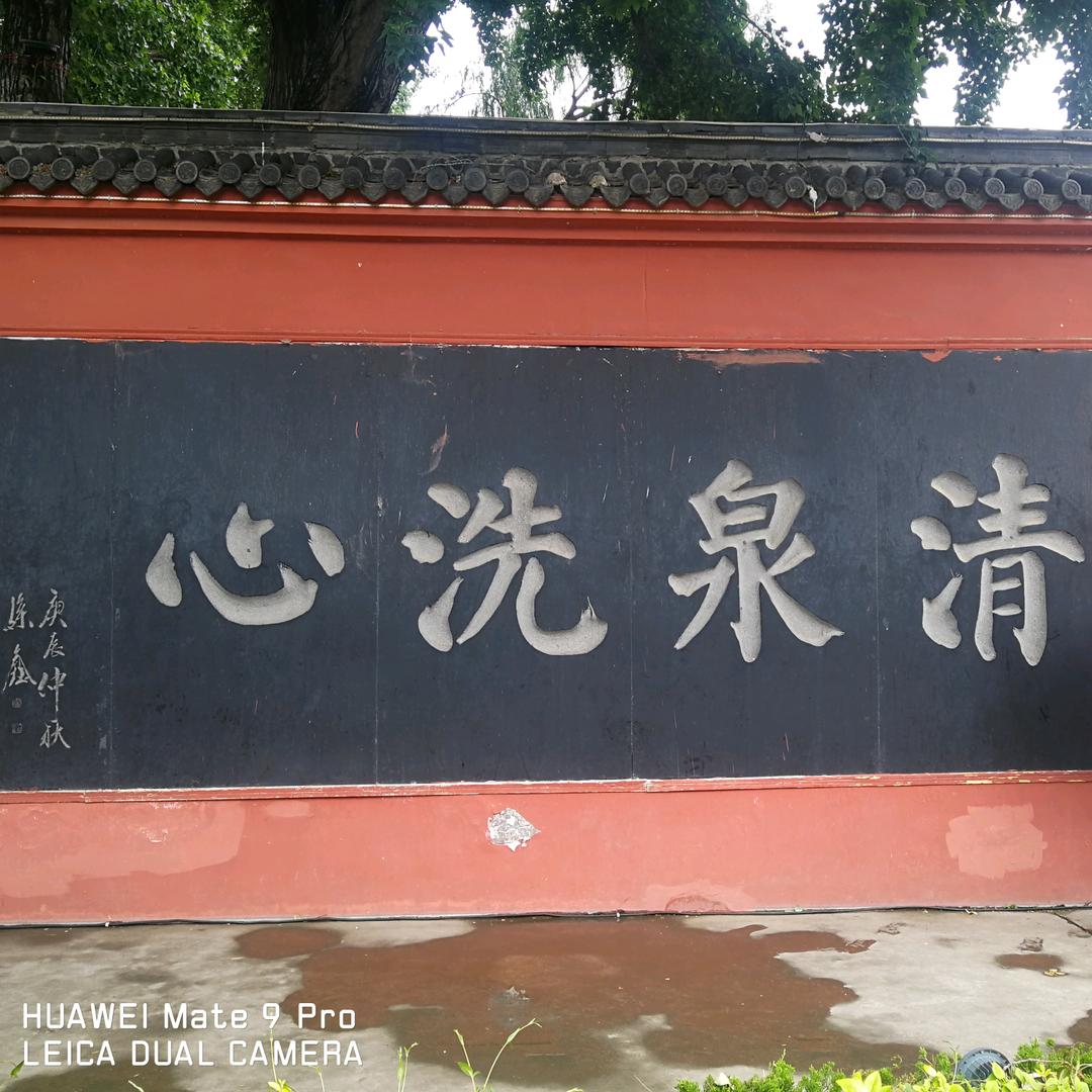 陈传志