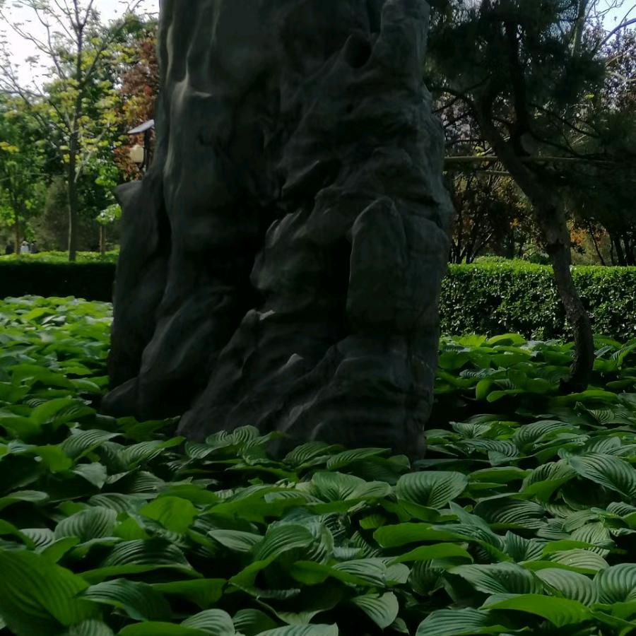 幸福一生