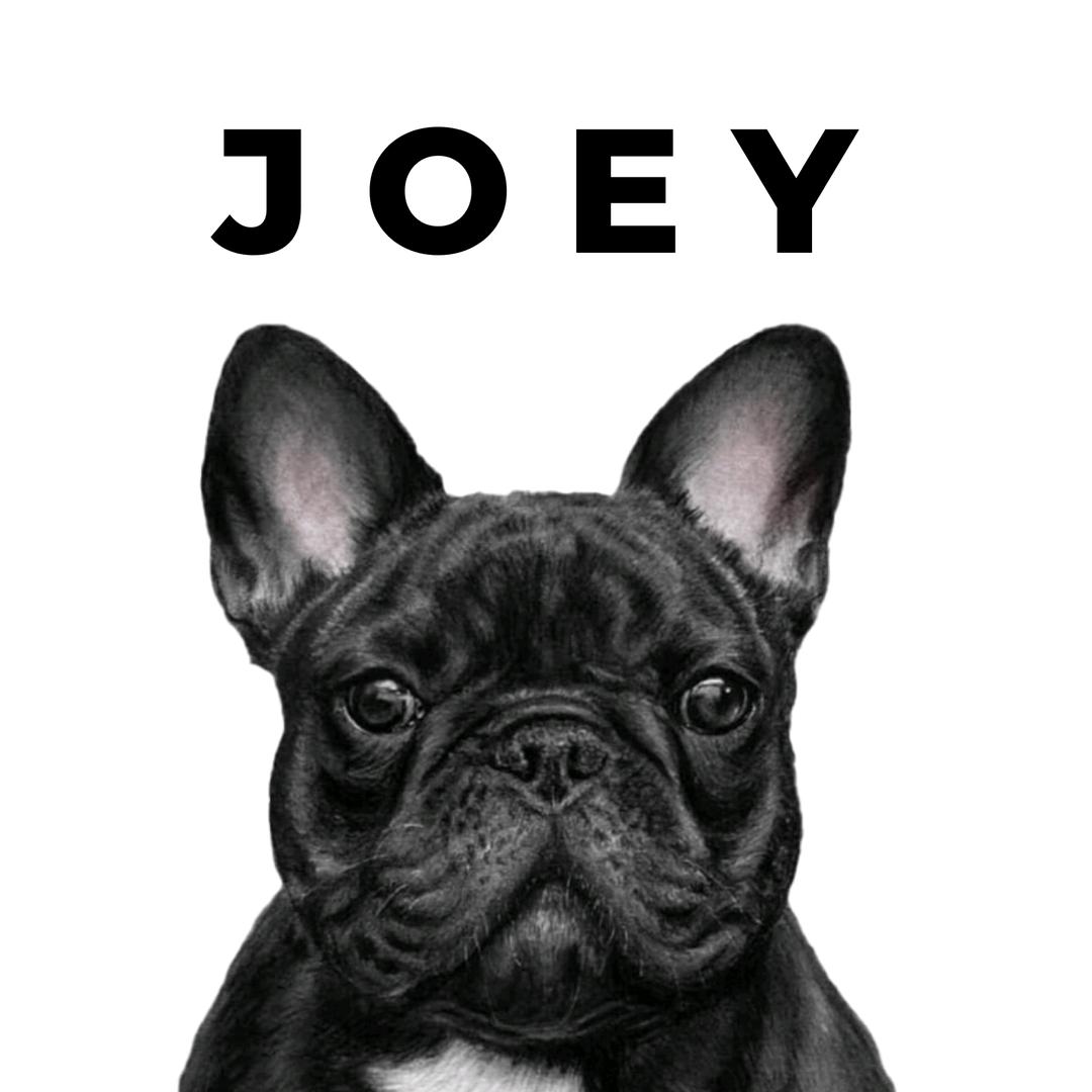 JOEY IN LOVE