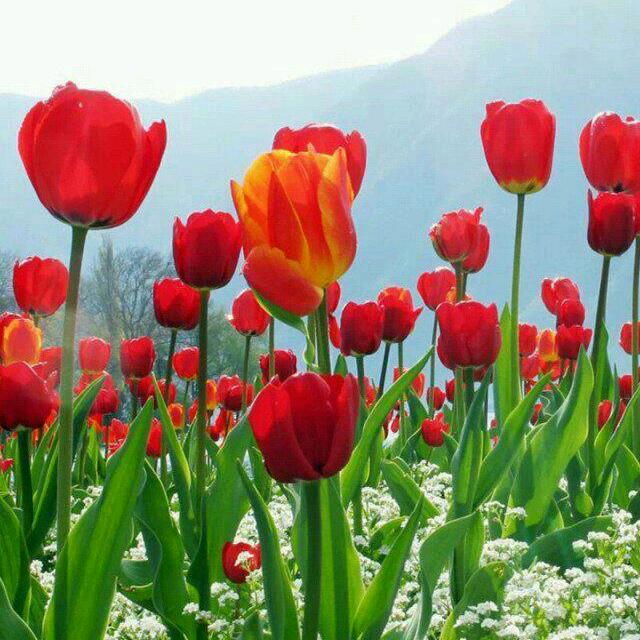 缘雨独陪9210♥️（主停播封票中）