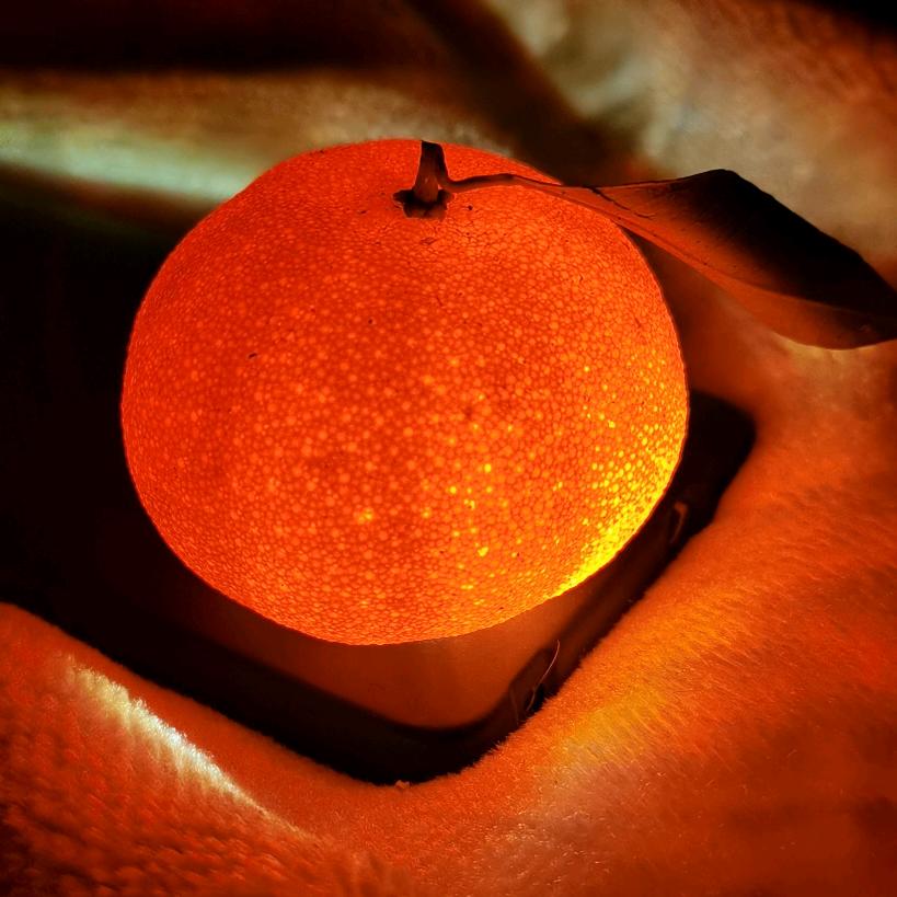 橘子🍊记录