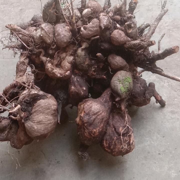 古玩，山货，土陶