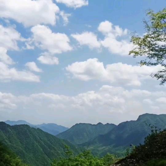 蘭天一片云