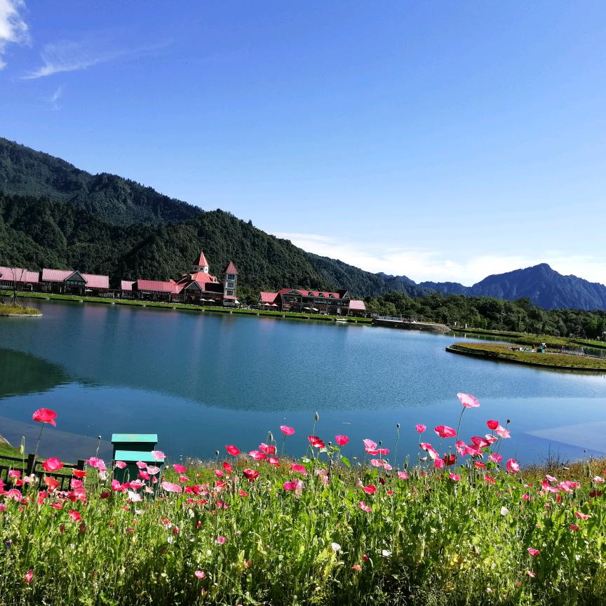 重生之我在成都做中介