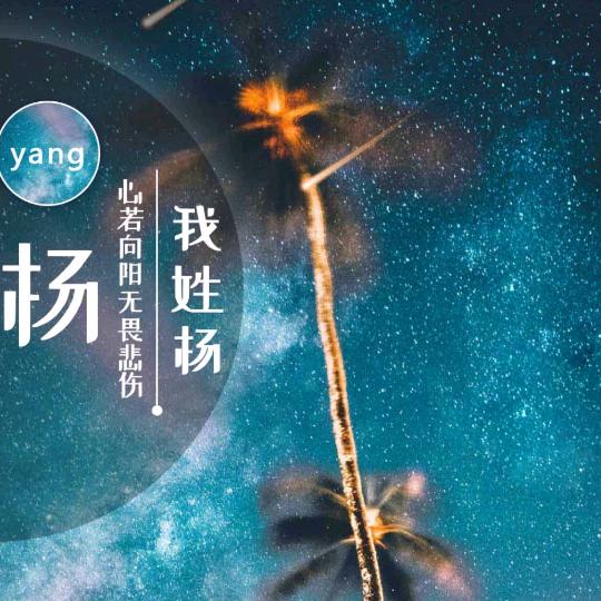 老杨，阳光房！