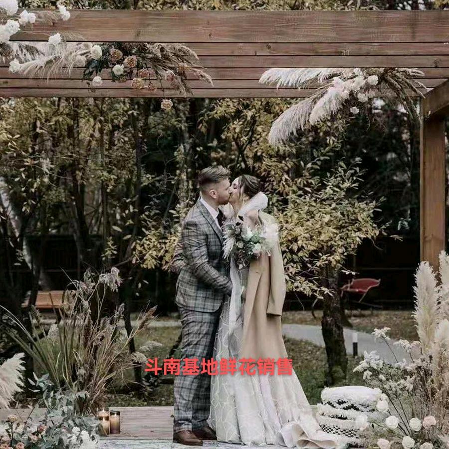 斗南昆阳基地玫瑰直发