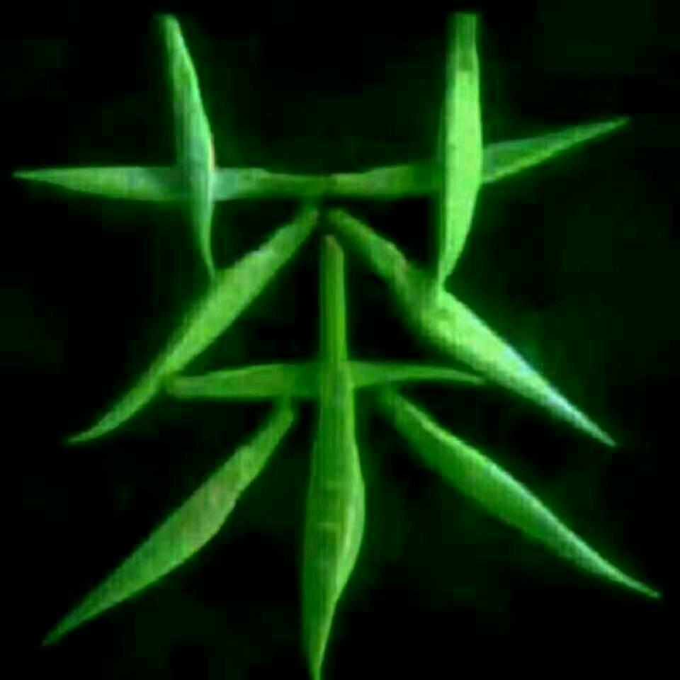 💘💘人怕没钱情怕伤💘💘