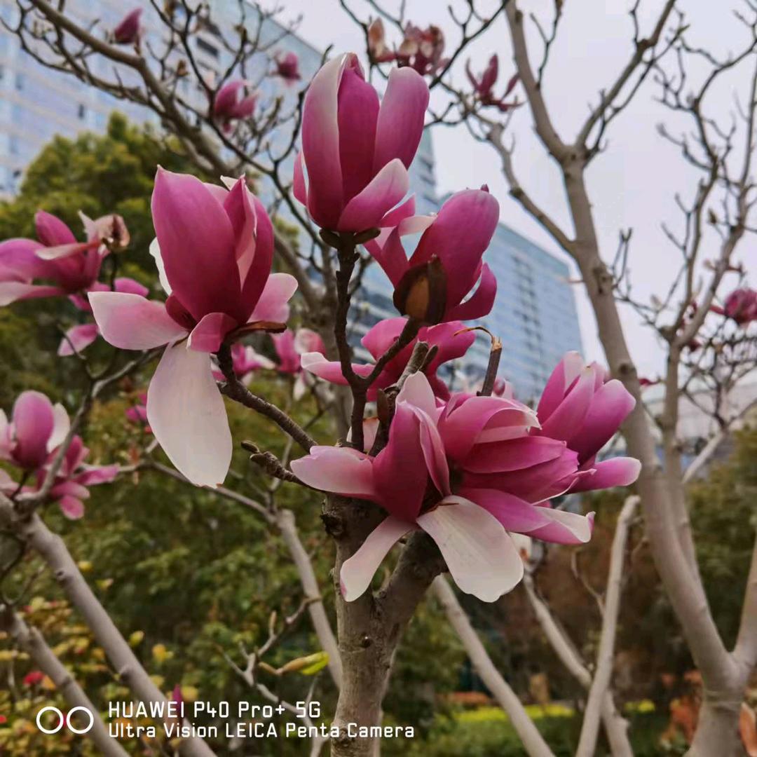 用户3020250988279一生平安