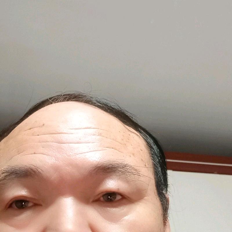 小白杨